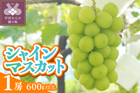 〈2025年度配送分〉甲府市産　シャインマスカット　1房入り　600ｇ以上