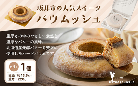 母の日限定！ カーネーション入り フラワーアレンジメントM ＆ バウムクーヘン (バウムッシュ) ギフトセット カラフル [B-20708_03]