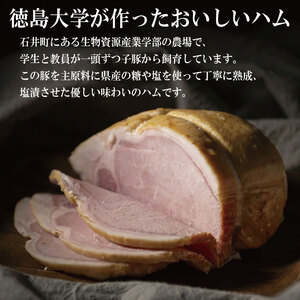 徳島大学 熟成ロースハム 500g ハム