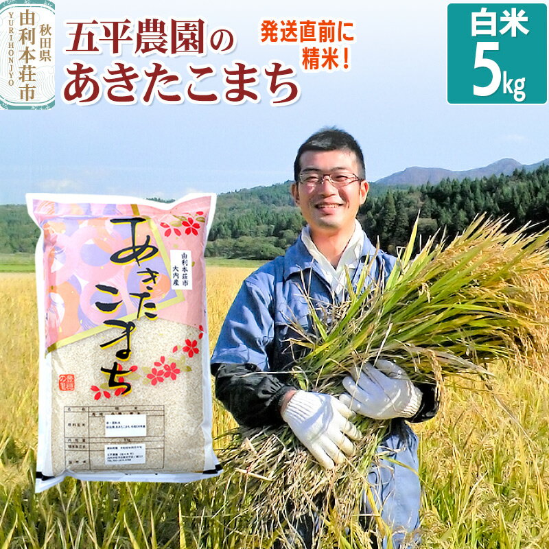【ふるさと納税】【白米】あきたこまち 5kg 令和7年産 秋田県産 五平農園のあきたこまち お米 米 こめ 五平農園