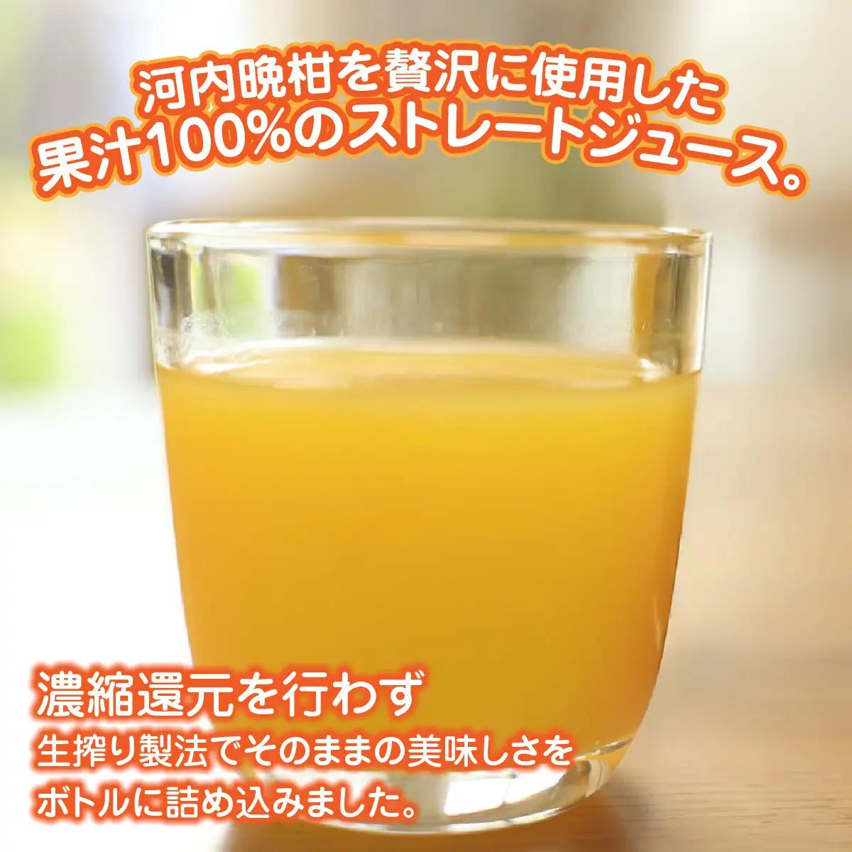 河内晩柑100%ジュース720ml×３【91-4】 YWTB003
