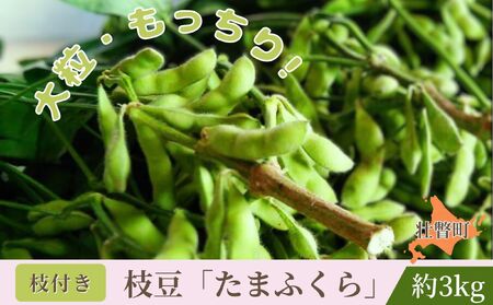 ＜9月中旬よりお届け＞枝付き枝豆 「たまふくら」約3kg 北海道壮瞥町産　SBTM007