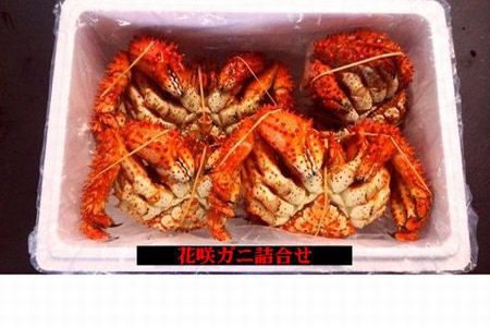 【北海道根室産】花咲ガニ3～5尾(チルド便) A-57026