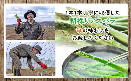 【R7年産】アスパラガス（夏採り）特別栽培 約1kg 細川農園 | グリーンアスパラ グリーンアスパラガス アスパラ 野菜 春野菜 朝採れ 新鮮 極太 サラダ 天ぷら 炒め物 旬 特産 産地直送 北海