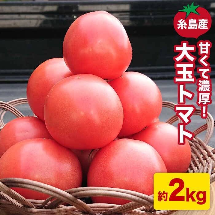 【ふるさと納税】甘くて濃厚！糸島産 大玉 トマト 2kg【大櫛トマトファーム】とまと 糸島野菜 やさい [AQH001] 9000円 9千円 常温