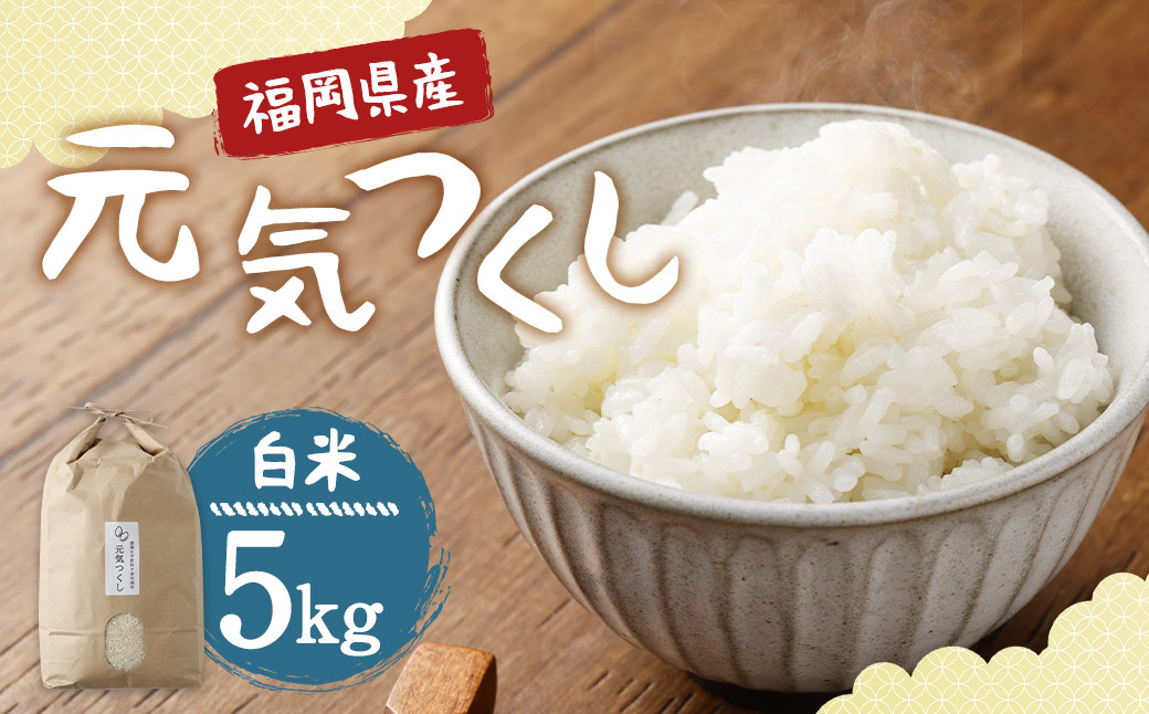 福岡県産 元気つくし 白米 5㎏ お弁当