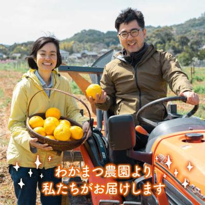 ふるさと納税 糸島市 農香 ばぁむ クリーム 【わかまつ農園】[AHB004] |  | 03
