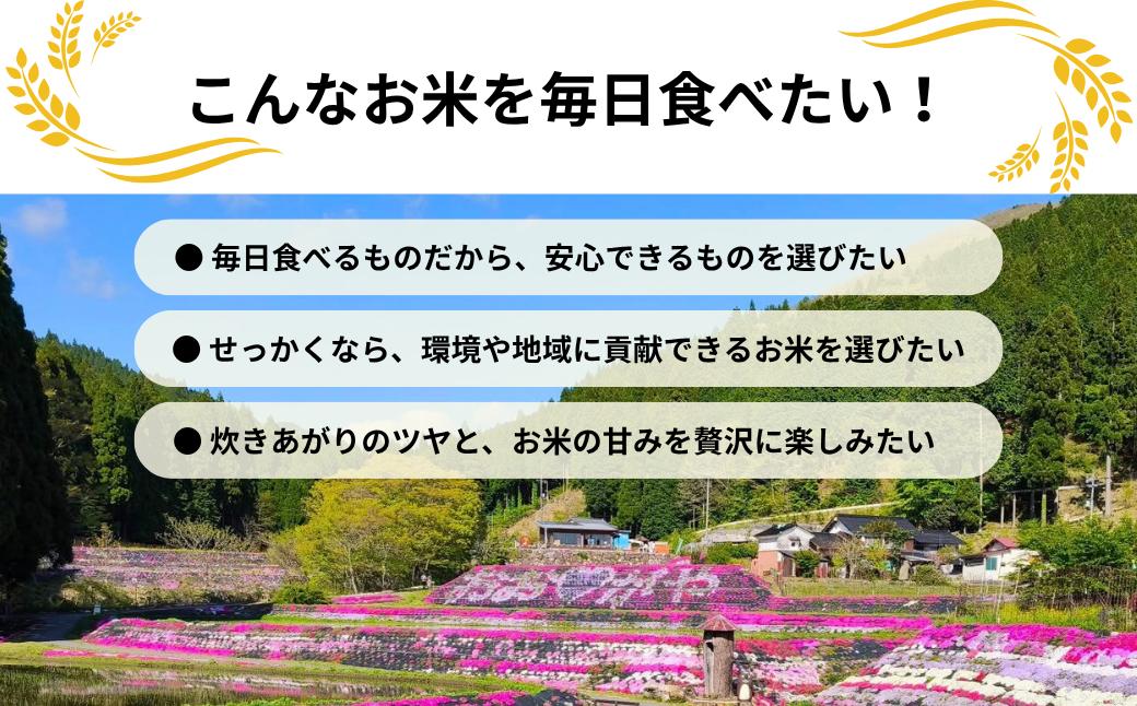 《先行予約 2026年10月発送》【3回定期便】白米 5kg 令和8年産 あきたこまち 岡山 「おおがや 芝桜米」 G-bf-BFCA