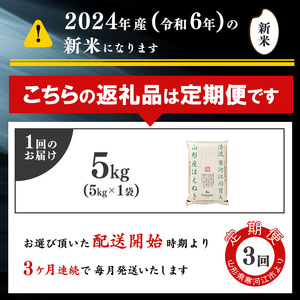 ＜2025年2月下旬開始＞ 【令和6年産 3回定期便】 はえぬき計15kg！お米定期便（5kg×3回）！清流寒河江川育ち 山形産はえぬき 2024年産　029-C-JA021-2025-2下