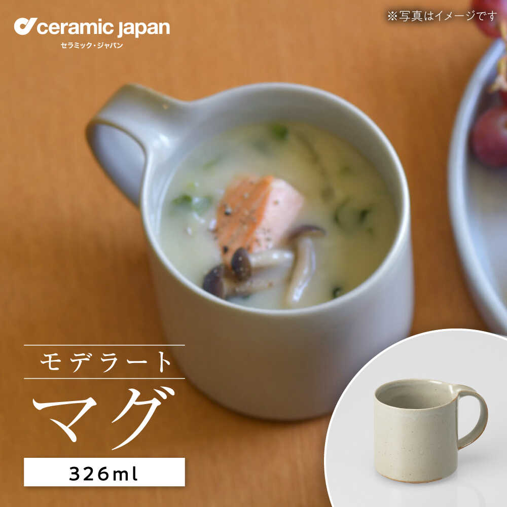 【ふるさと納税】【瀬戸焼】モデラート マグ グレー 【セラミック・ジャパン】 / 食器 カップ コップ ギフト プレゼント / 瀬戸市[BBBC008]