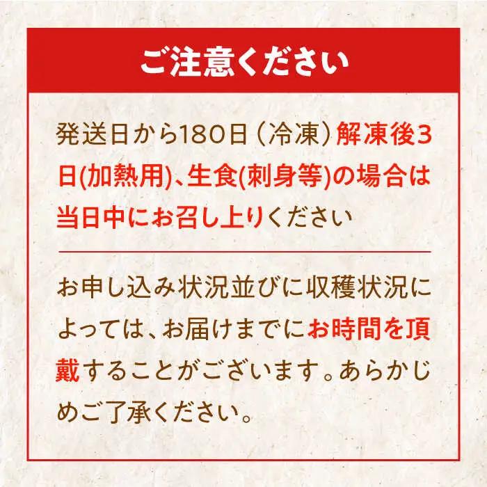 愛鯛 養殖真鯛1尾 冷凍 [AGDA001]