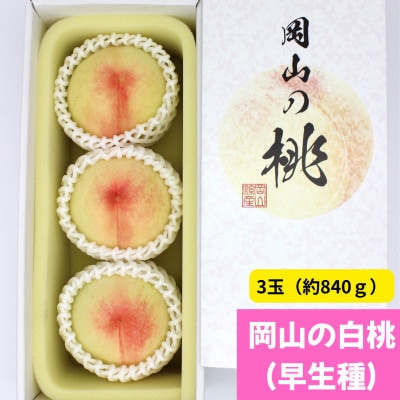 岡山の白桃(早生種)　大玉3玉(約840g)【配送不可地域：離島】
