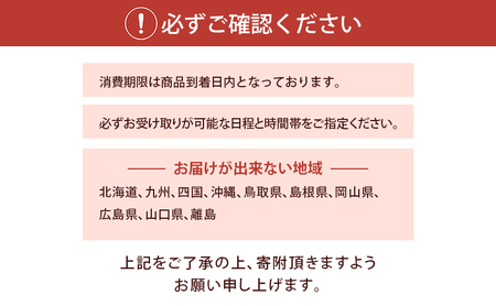 フルーツブーケ ハッピースマイル Sサイズ 冬ver 【配送月選択可 11月中旬～4月】 フルーツギフト フルーツケーキ フルーツ ブーケ ギフト 誕生日 バースデー 贈り物 母の日 おしゃれ かわい