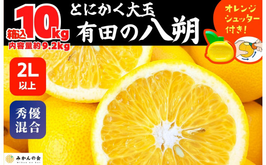 
                  八朔 (はっさく) とにかく 大玉 どっこいしょ 箱込 10kg (内容量約 9.2kg) 秀品 優品 混合 2Lサイズ以上 和歌山県産  産地直送［おまけ付き］［みかんの会］
                
