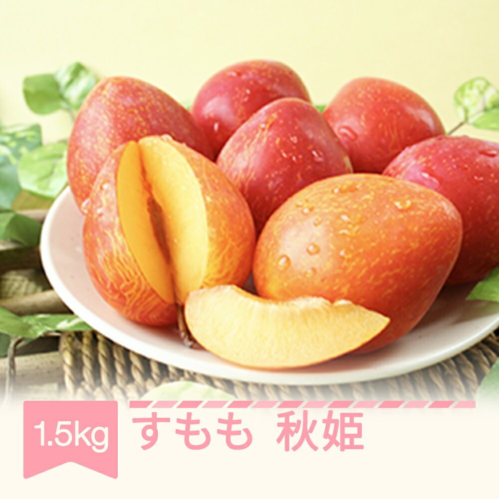 【ふるさと納税】先行予約 すもも スモモ 秋姫 1.5kg 2025年産 令和7年産 山形県産 送料無料 ※沖縄・離島への配送不可