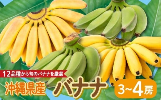 
            高原の駅なんじょうバナナ3～4房（12品種から旬のものを詰合せ）
          