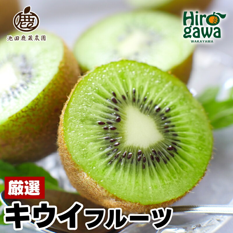 【ふるさと納税】 キウイ 厳選 / キウイフルーツ 高級 果物 和歌山 1kg 3kg 5kg 6000円 ※11月中旬～5月中旬頃に順次発送予定 ※北海道・沖縄・離島への配送不可 //hokaf
