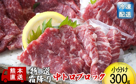馬刺し 熊本 特選霜降り 中トロ 馬刺し【300g】【冷凍】