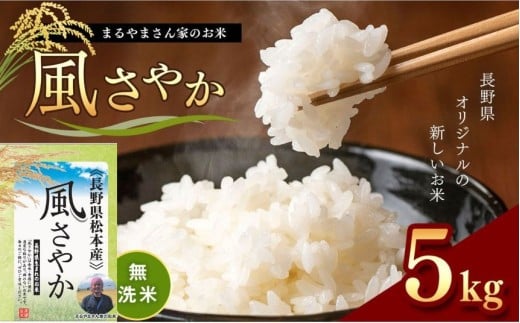 無洗米 「まるやまさん家のお米」 風さやか 5kg×1袋 | 米 国産 こめ 松本市 お米 ふるさと納税 信州 無洗米 5キロ 風さやか 長野米 美味しい 松本産 ふっくら 白米