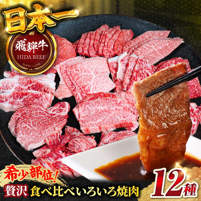 【ふるさと納税】【飛騨牛】贅沢食べ比べ12種（ 各100g 計1200g）いろいろ焼肉 上バラ サーロイン 牛ヒレ 岐阜市/丸福商店[ANBO028]
