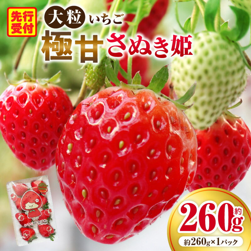 【ふるさと納税】大粒いちご 極甘さぬき姫 約260g いちご 果物 フルーツ 苺 旬の果物 人気 おすすめ 贈り物 贈答 お裾分け 香川県産 デザート パック 冷蔵 スイーツ さぬき姫 ふるさと 季節 季節の果物 ご褒美 青果物 農産物 果肉 果実 香川県 三木町 送料無料