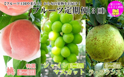 【2027年発送分】【やまなしフルーツ定期便（３回）】 桃【特選】（３kg・６-９玉）＆シャインマスカット（２kg前後・３-４房）＆ラ・フランス（1.5kg以上・３-５玉）　定期便　果物 フルーツ くだもの もも シャイン 洋ナシ 洋梨 洋なし 山梨 やまなし 富士川町
