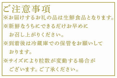 『先行予約』【1月中旬より順次発送】佐賀県唐津市「いちごさん」桐箱 800g いちご 苺 イチゴ 桐箱 ギフト