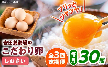 【全3回定期便】たまご 30個入り [AKHN008]たまご