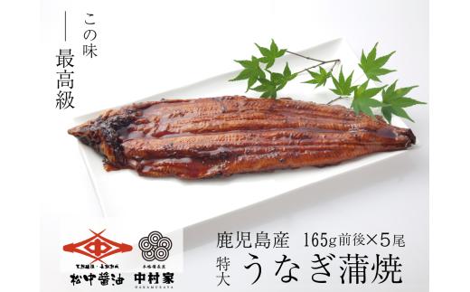 【120年老舗醤油蔵仕込みのたれと関門の塩】高級鰻 蒲焼 （165g前後）×5尾 合計825g前後 タレ付 山椒小袋 うなぎ 蒲焼き 冷凍 国産