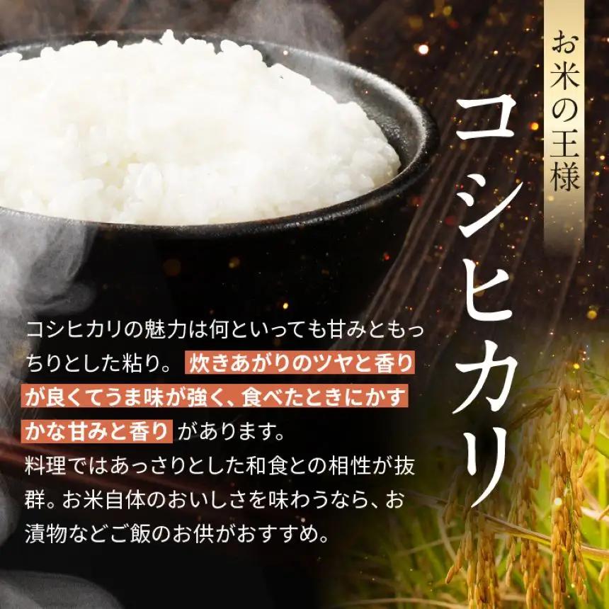 【新米】定期便6回 特Aこしひかり 5kg×1袋【栃木県共通返礼品 栃木県産】AB | 栃木県 下野市
