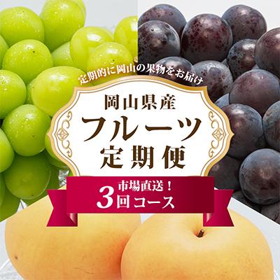 ふるさと納税 岡山市 【発送月固定定期便】岡山県産 フルーツ定期便A全3回
