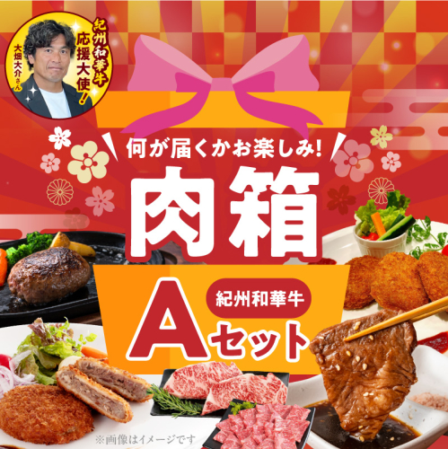 お楽しみ肉箱 Aセット お試し ドキドキ 黒毛和牛 ハンバーグ ステーキ ロース ヒレ 焼肉 すき焼き しゃぶしゃぶ 盛り合わせ コロッケ ローストビーフ 食品 和歌山県 湯浅町 送料無料_BN6134