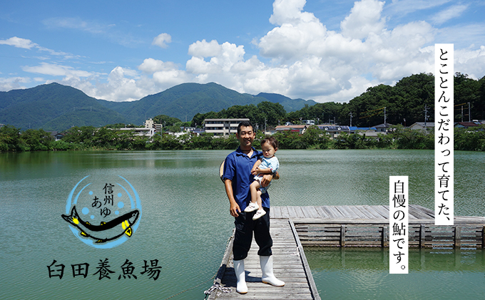  2025年9月発送 生産者直送！「信州あゆ 子持ち 」冷凍8尾入 長野 上田市