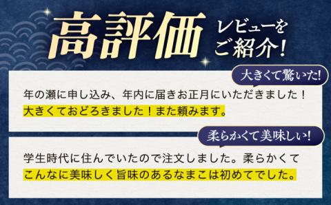川棚 なまこ 約500g【森水産】[OAI002] / 大村湾で採れる 高級 新鮮 ナマコ おつまみ 魚介