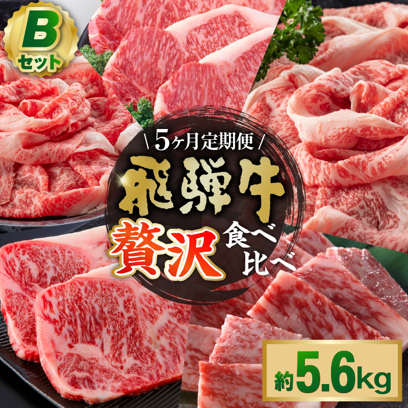 『飛騨牛』贅沢食べ比べセットB　定期便※5回に分けてのお届けとなります。【0016-100】