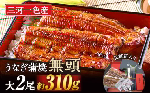 【土用の丑の日までにお届け】三河一色産　うなぎ蒲焼　大サイズ2尾　無頭（1尾約155ｇ）　国産　M044-19-c1うなぎ 三河 愛知 一色 日本産 鰻 蒲焼き うなぎ蒲焼 鰻蒲焼き うな丼 うな重 