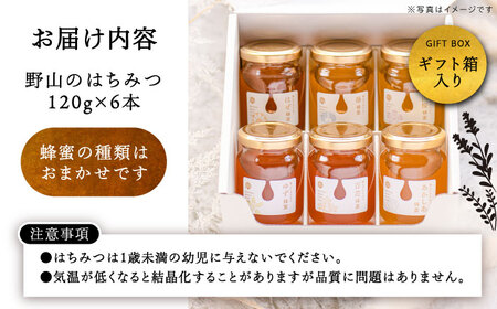 東美濃厳選「季節のはちみつ味わい贅沢セット」 / 恵那市 / 堀養蜂園 [AUCO002]