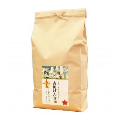 ふるさと納税 雲南市 島根県雲南市産　吉田げんき米　コシヒカリ　5kg(5kg×1) |  | 01