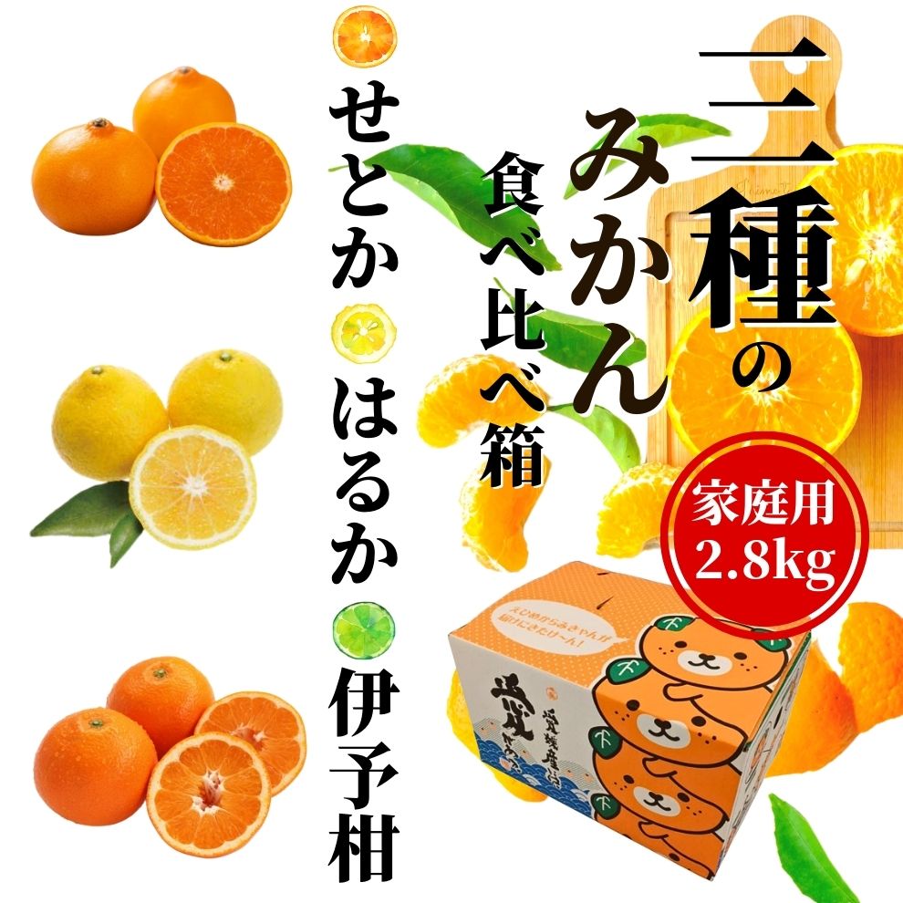 【ふるさと納税】 ＜2026年2月頃発送＞ 【先行予約】 【三種のみかん食べ比べ箱】 】せとか・はるか・宮内伊予柑 （家庭用）約2.8kg　 | 愛媛 みかん 先行予約 蜜柑 柑橘 果物 くだもの フルーツ お取り寄せ グルメ 期間限定 数量限定 人気 おすすめ 愛媛県 松山市