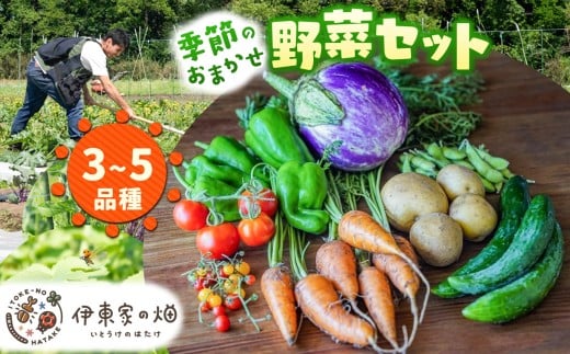 野菜セット(3～5品種) | 下野市 旬野菜 詰め合わせ 野菜セット 地元野菜 栃木県産 新鮮野菜 産地直送 野菜通販 季節野菜 地場野菜 お取り寄せ 下野市野菜 野菜詰合せ 農薬・化学肥料・動物性肥料不使用 地元農家 栃木野菜 栃木県 下野市