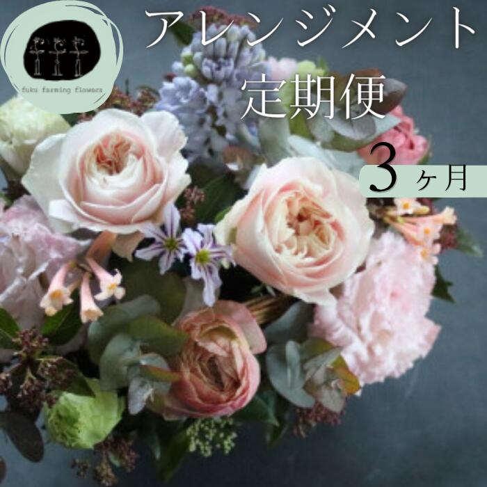 【ふるさと納税】フラワーアレンジメント 定期便 3ヶ月 Mサイズ｜季節の花 生花ギフト 毎月お届け おしゃれ インテリア用 福島県 川内村【fuku farming flowers】