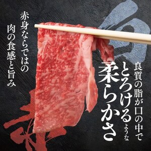 【将軍牛】特選すき焼きセット ロース もも 2種類 500g【配送不可地域：離島】【1653543】