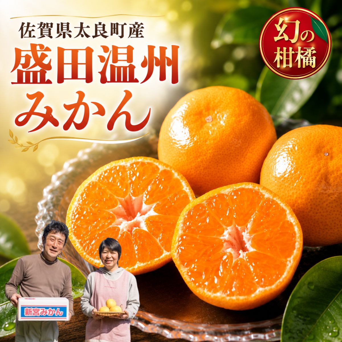 【先行予約】【ふるさと納税】L141x1 新宮みかん園　希少なみかん盛田温州の小さなみかん 5kg 【2026年12月上旬～2027年1月上旬発送予定】