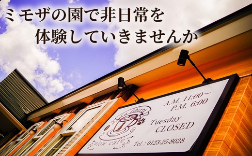 【定期便：全2回】自家製コーヒー豆 ドリップバック3個入×3セット