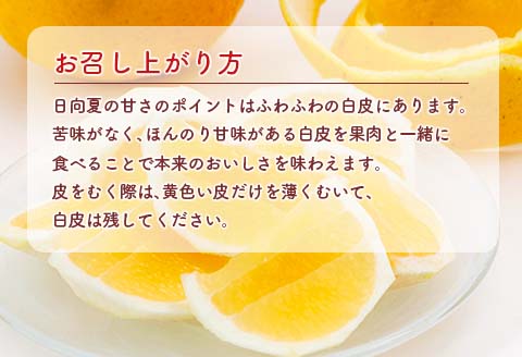 酸味と甘味は恋の味 数量限定 恋する 日向夏 計3kg以上 オリジナル ブランド 果物 フルーツ くだもの 期間限定 デザート 国産 食品 柑橘 みかん オレンジ おすそ分け お取り寄せ グルメ ご褒