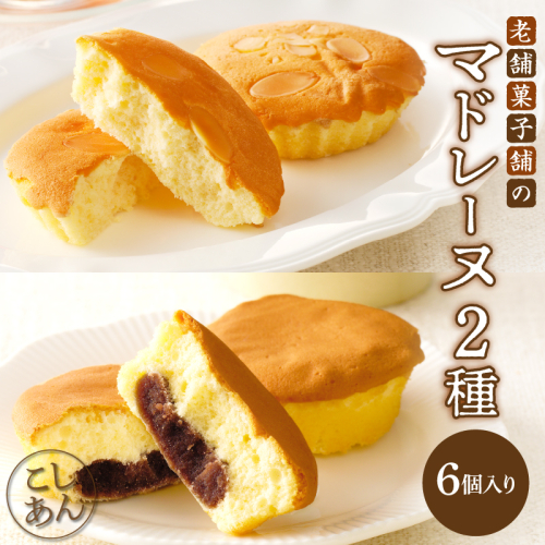 【2週間以内発送】老舗菓子舗のマドレーヌ2種セット「合計6個・個包装」 焼き菓子 スイーツ 詰め合わせ 洋菓子_T035-0206