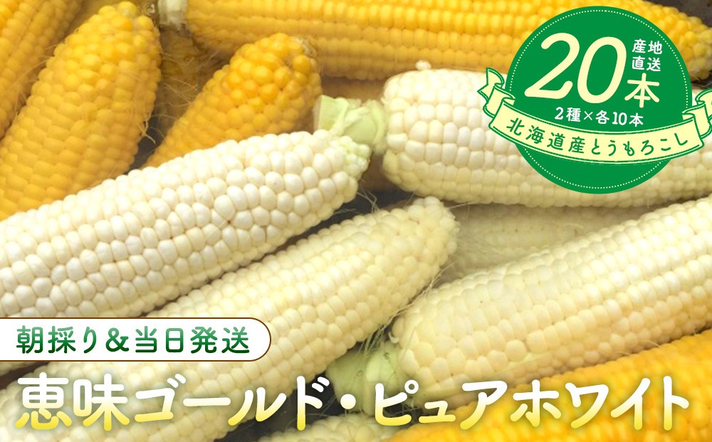 
            北海道産とうもろこし（恵味ゴールド10本・ピュアホワイト10本セット）
          