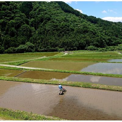 ふるさと納税 東温市 〈坂本自然農場 穂田琉〉 JINEN:ひのひかり　精米5kg |  | 02