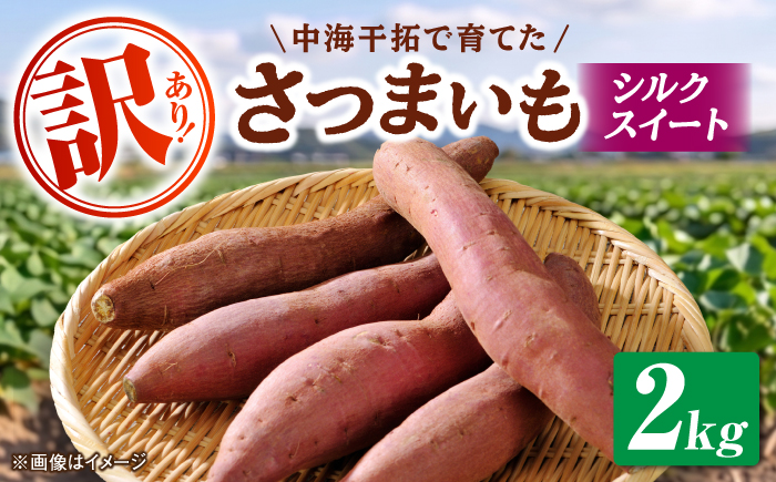 【先行予約】【2026年11月上旬順次発送】【訳あり】島根県GAP認証　さつまいも（シルクスイート）2kg　島根県松江市/フジキコーポレーション株式会社 [ALDS027]