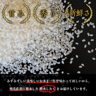 ふるさと納税 八頭町 プリンセスかおり・コシヒカリ・白兎もち【450g×3個入りお米ギフト2セット】 |  | 03